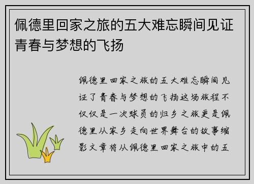 佩德里回家之旅的五大难忘瞬间见证青春与梦想的飞扬