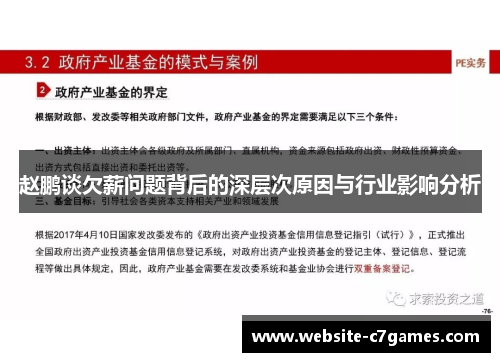 赵鹏谈欠薪问题背后的深层次原因与行业影响分析