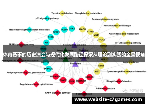 体育赛事的历史演变与现代化发展路径探索从理论到实践的全景视角